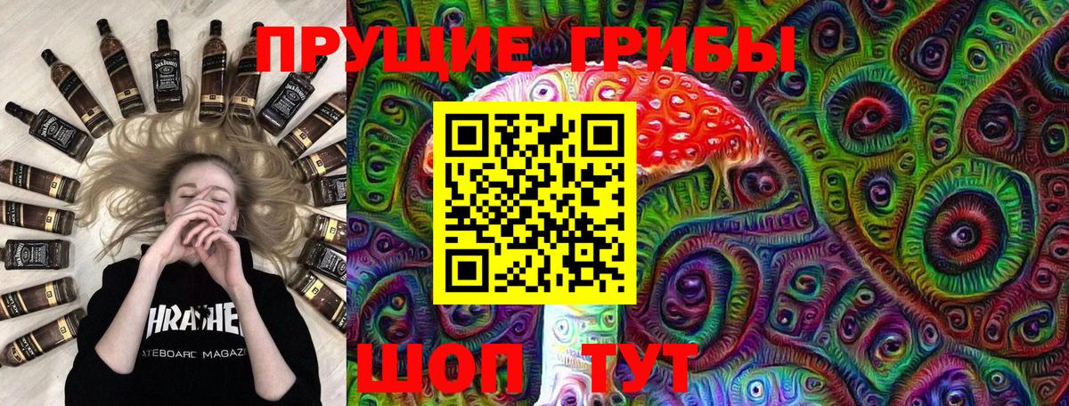 Псилоцибиновые грибы прущие грибы  Вход с VPN  Северск 