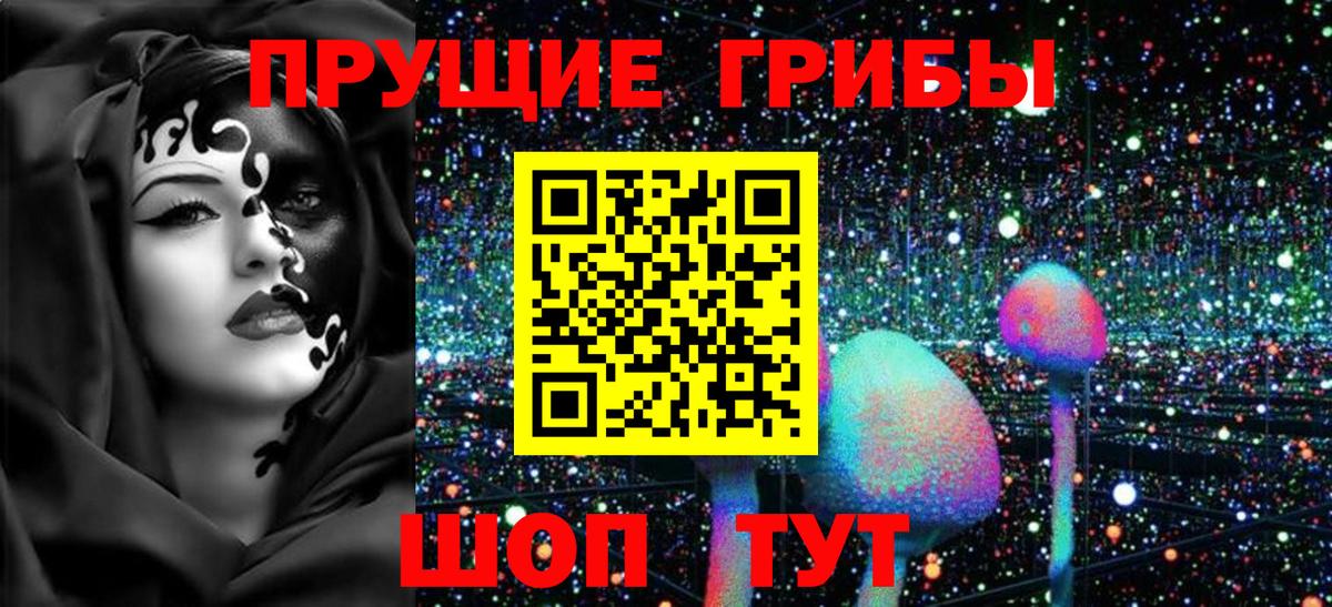 Галлюциногенные грибы прущие грибы Северск